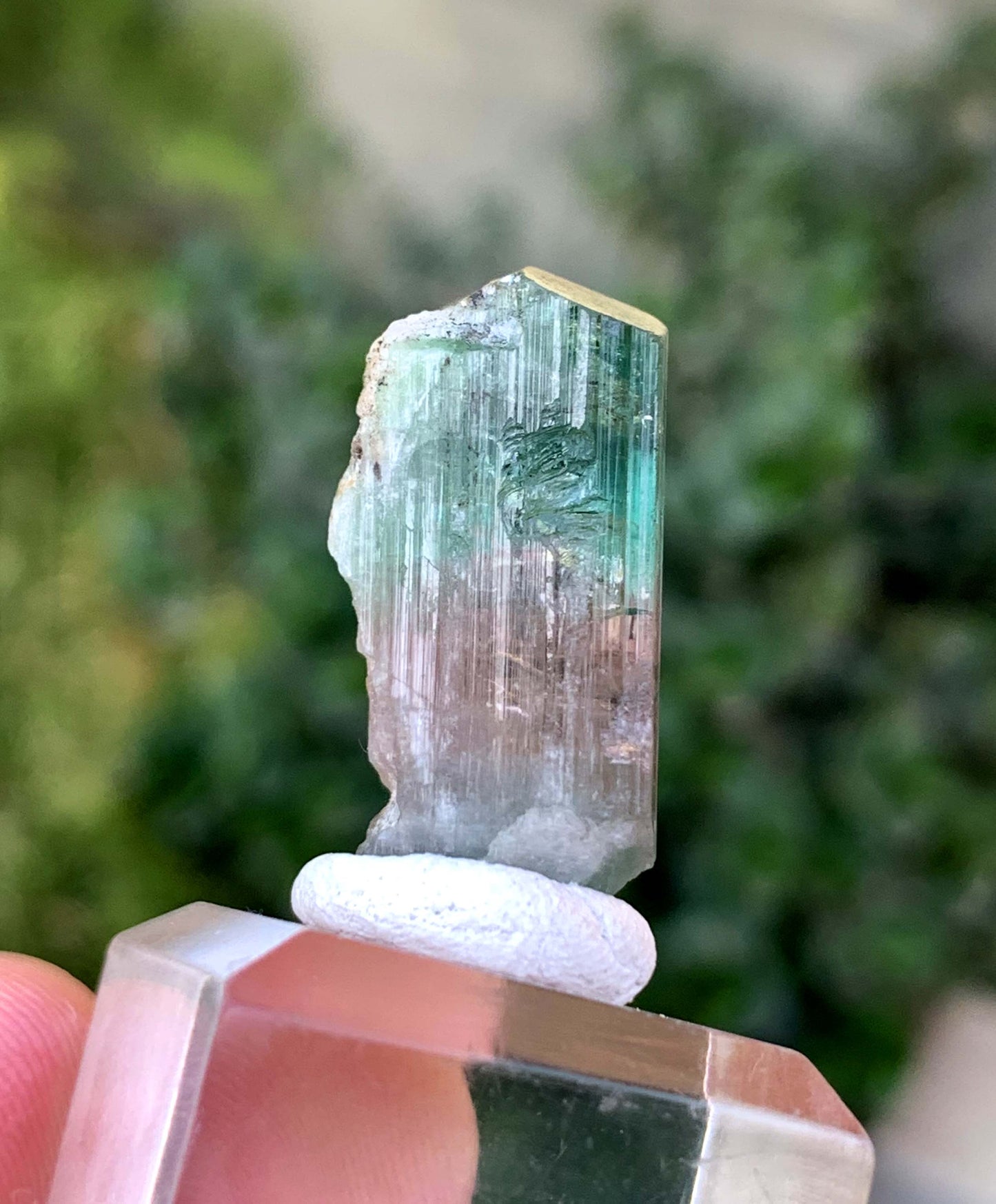 Natural Bi COlor tourmaline Crystal From Afghanistan 39.50 Carats