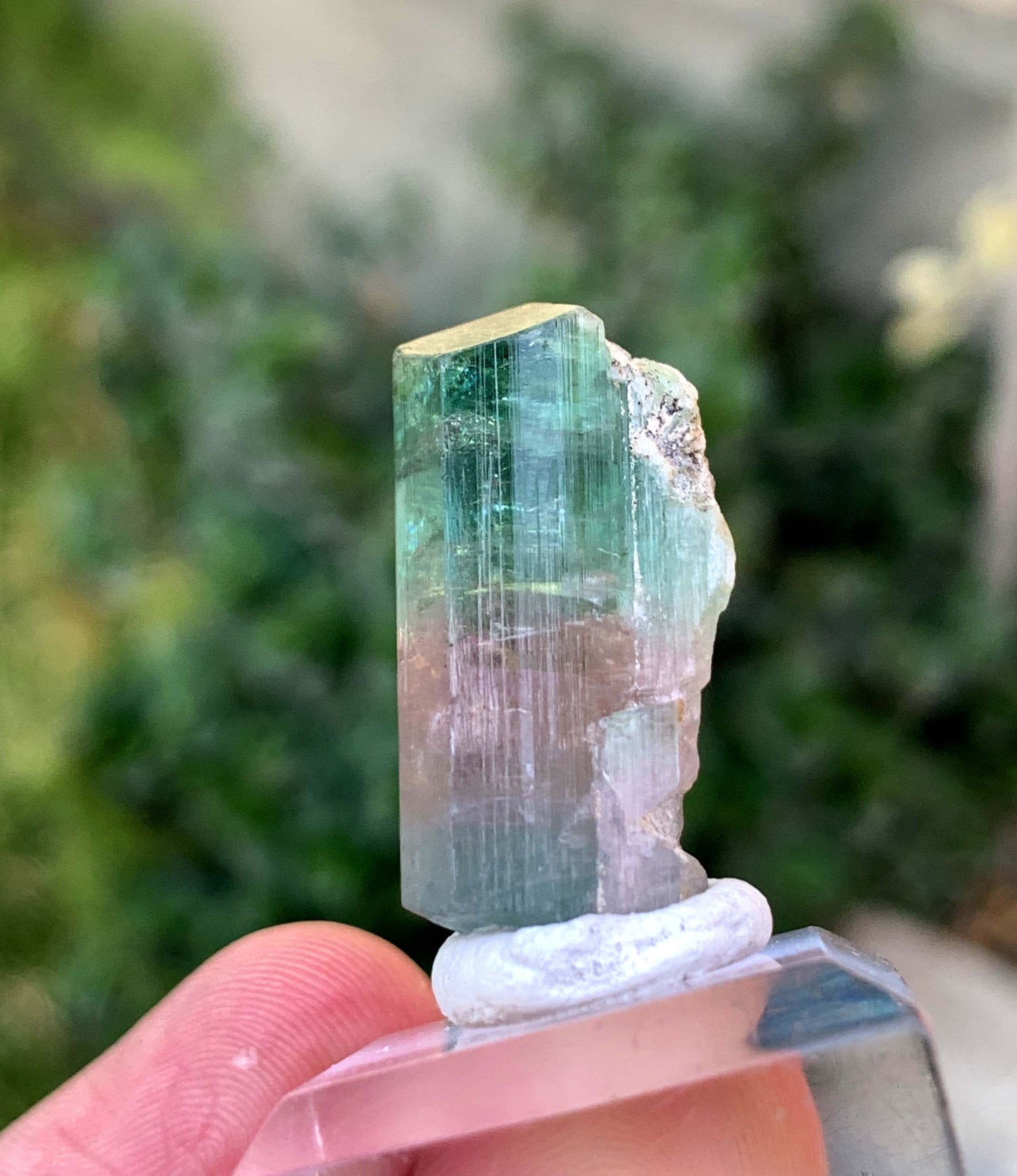 Natural Bi COlor tourmaline Crystal From Afghanistan 39.50 Carats