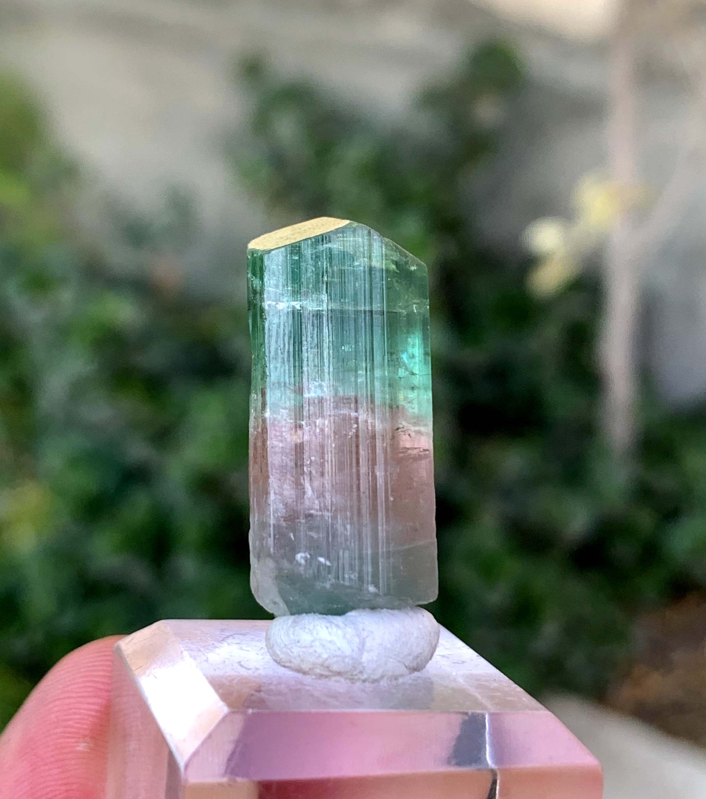 Natural Bi COlor tourmaline Crystal From Afghanistan 39.50 Carats