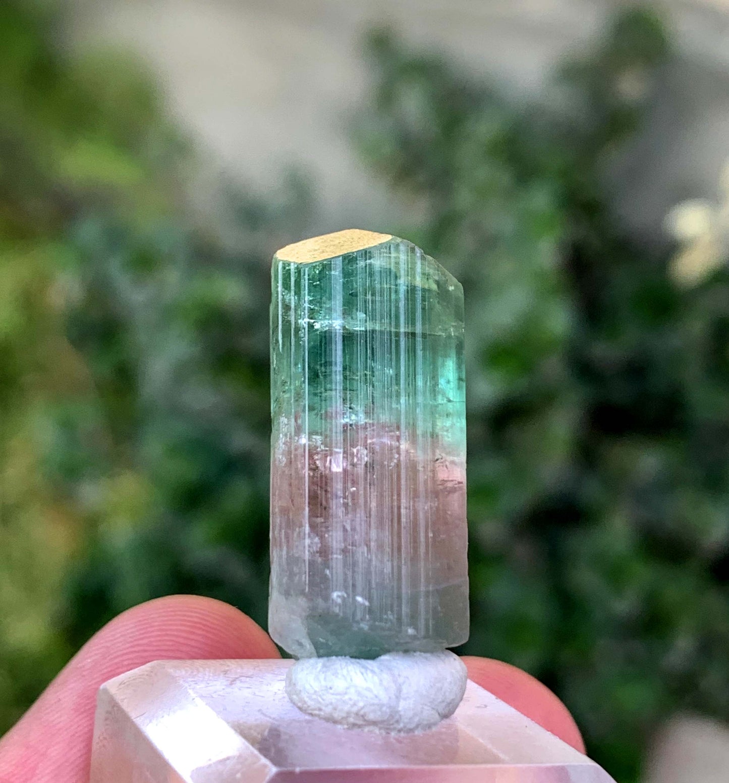 Natural Bi COlor tourmaline Crystal From Afghanistan 39.50 Carats