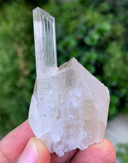 Natural Terminated Yellow Triphane Kunzite On Quartz From Afghanistan