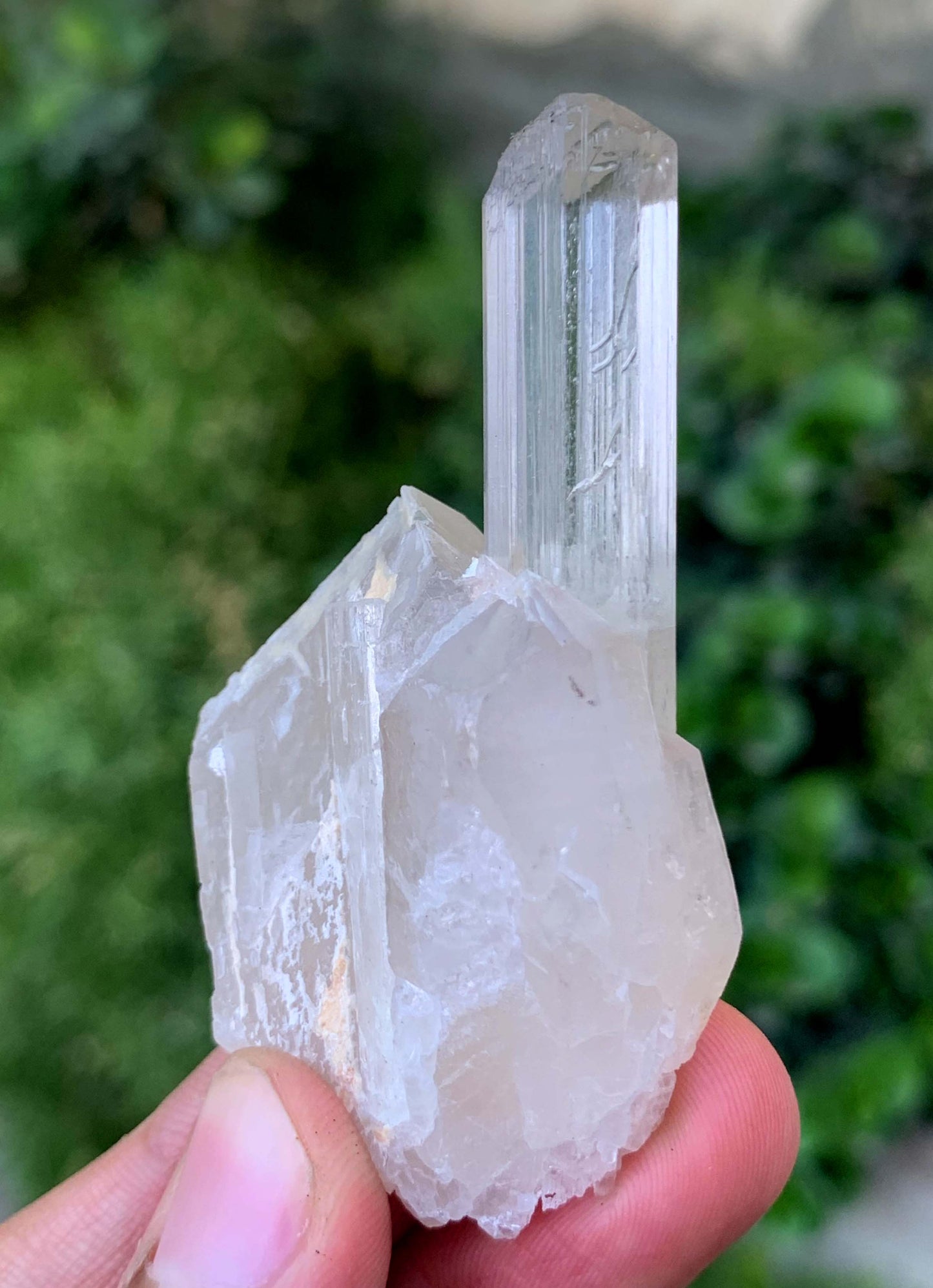 Natural Terminated Yellow Triphane Kunzite On Quartz From Afghanistan