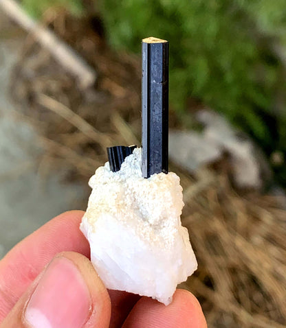 Schorl Black Tourmalines on Matrix from Pakistan - 14 gram