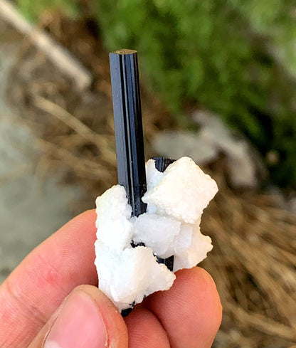 Schorl Black Tourmalines on Matrix from Pakistan - 14 gram