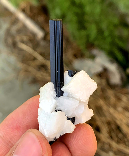 Schorl Black Tourmalines on Matrix from Pakistan - 14 gram