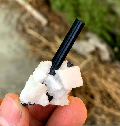 Schorl Black Tourmalines on Matrix from Pakistan - 14 gram