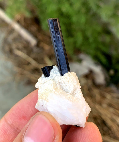 Schorl Black Tourmalines on Matrix from Pakistan - 14 gram