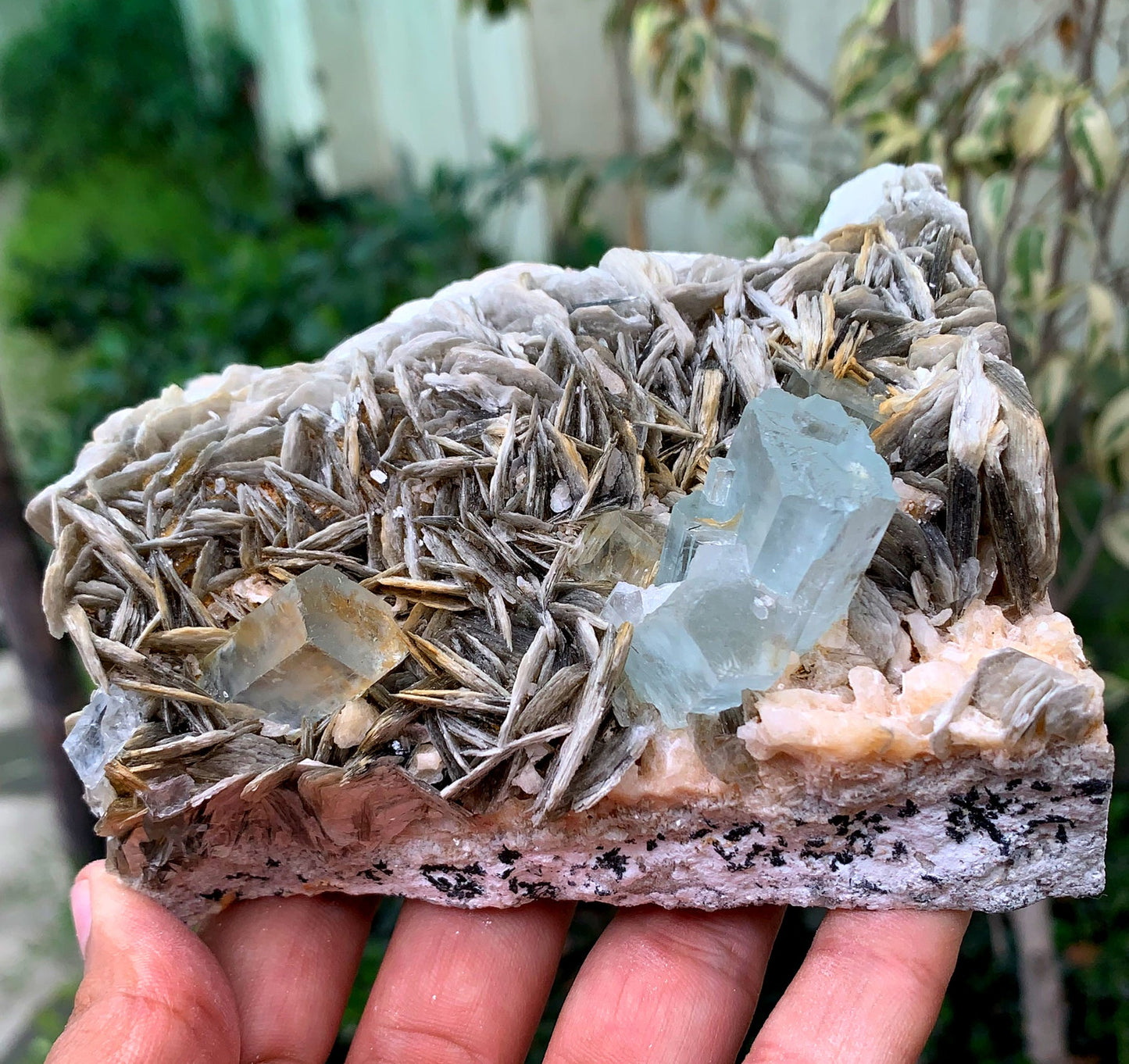 Natural Blue Aquamarine Crystals With Mica From Skardu Pakistan