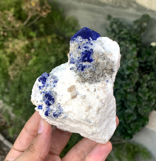 Ink Blue Lapis LAzurite WIth Golden Pyrite From Afghanistan 432 Gram