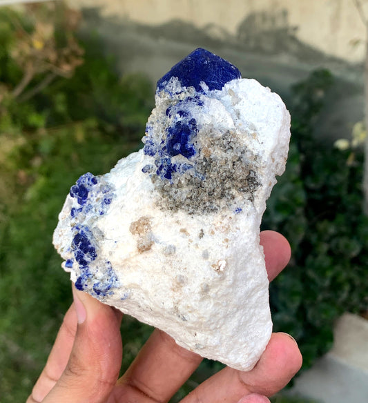 Ink Blue Lapis LAzurite WIth Golden Pyrite From Afghanistan 432 Gram