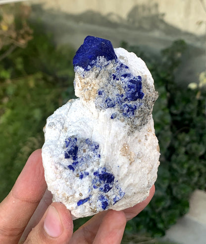 Ink Blue Lapis LAzurite WIth Golden Pyrite From Afghanistan 432 Gram