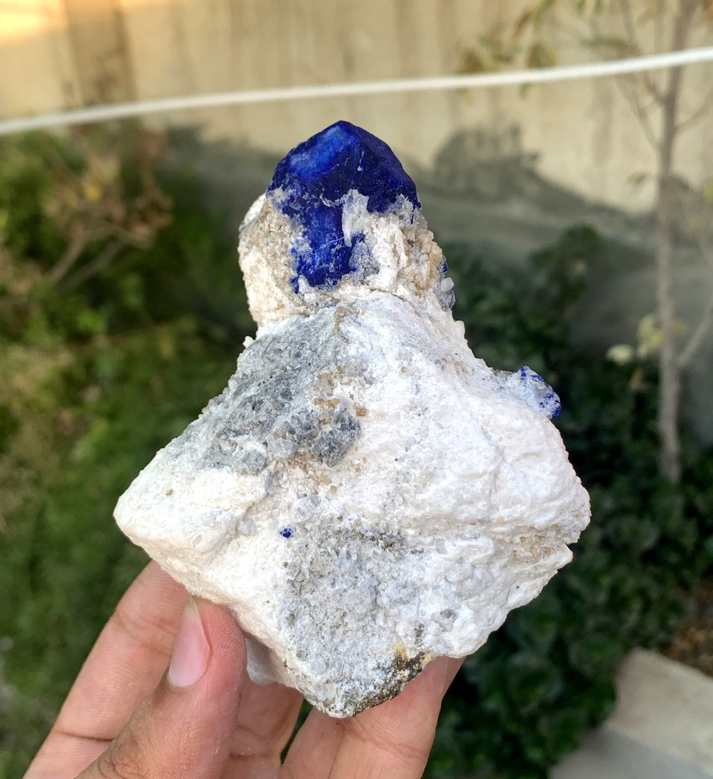 Ink Blue Lapis LAzurite WIth Golden Pyrite From Afghanistan 432 Gram