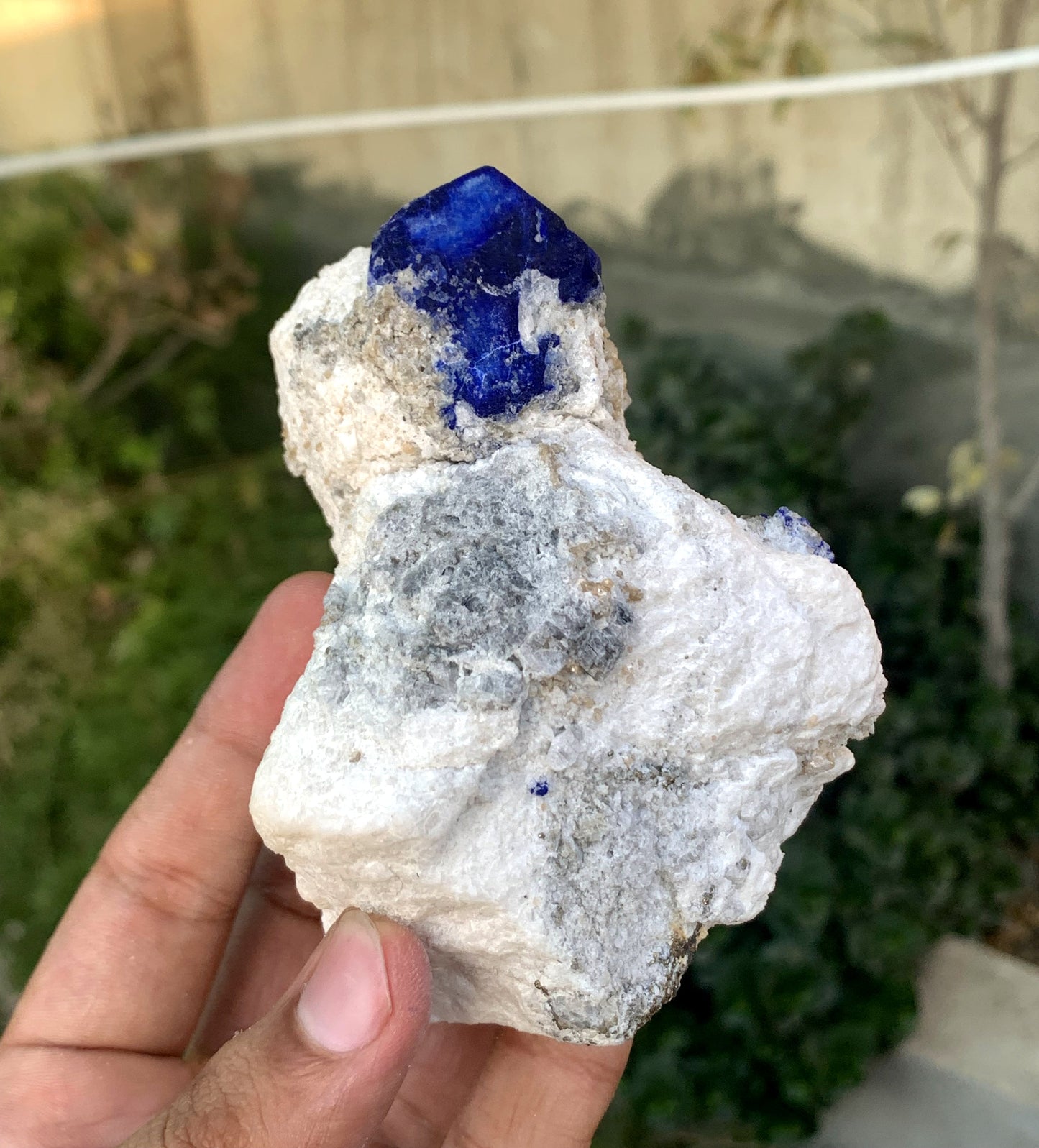 Ink Blue Lapis LAzurite WIth Golden Pyrite From Afghanistan 432 Gram