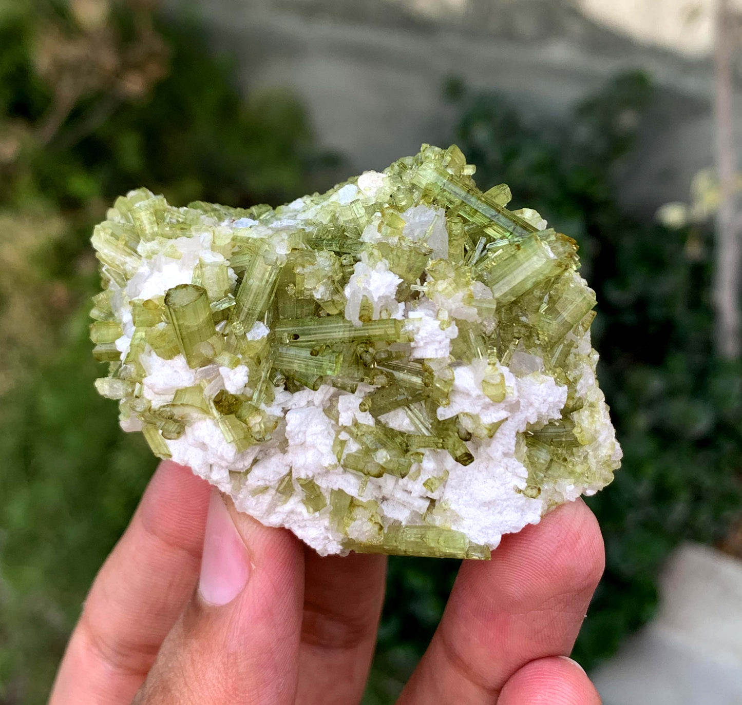 Green Tourmaline Crystals Cluster OnMatrix From Afghanistan 200 Gram