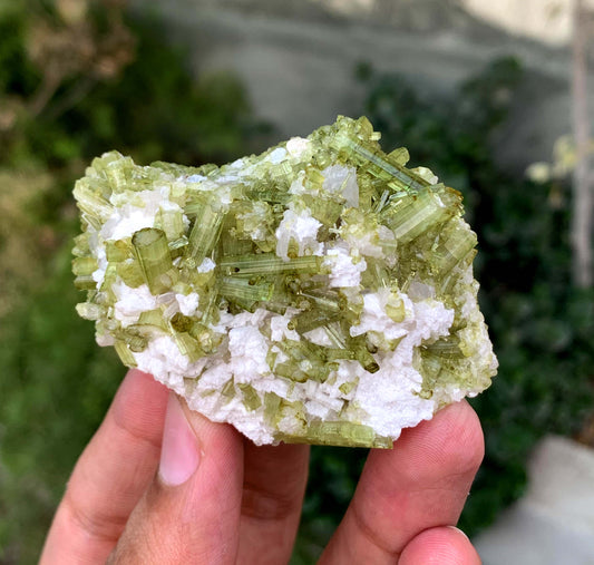 Green Tourmaline Crystals Cluster OnMatrix From Afghanistan 200 Gram
