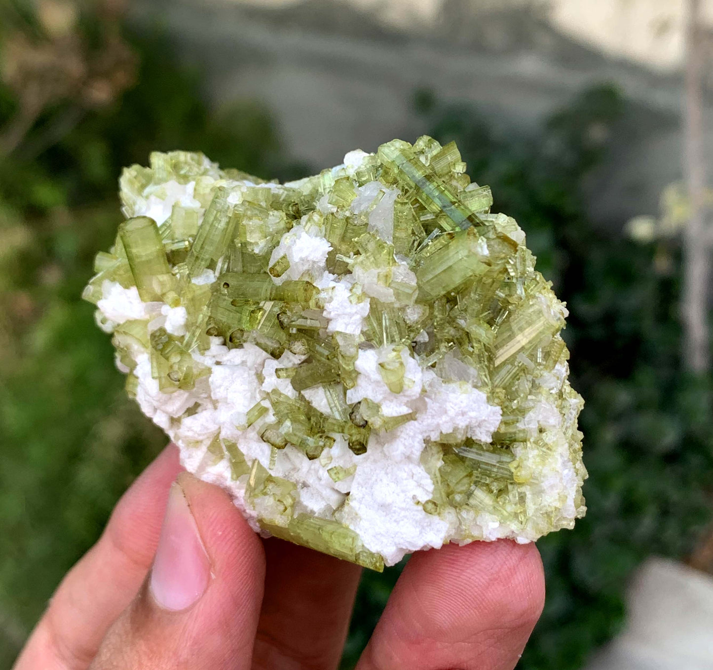 Green Tourmaline Crystals Cluster OnMatrix From Afghanistan 200 Gram