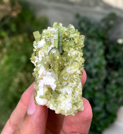 Green Tourmaline Crystals Cluster OnMatrix From Afghanistan 200 Gram