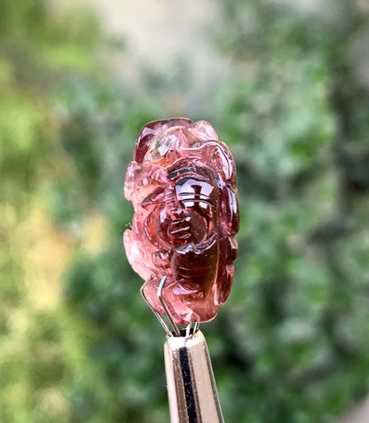 Polished Pink Tourmaline Carving From Afghanistan - 65 Carats