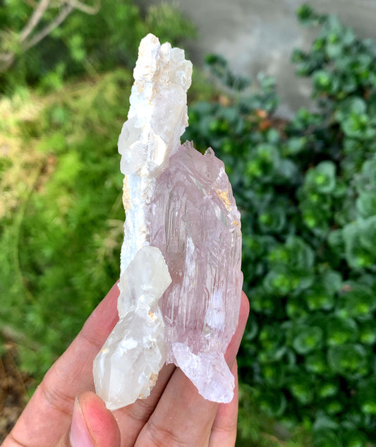 Mountain Shape Terminated Fluorescent pink Kunzite Crystal With Quartz From Afghanistan