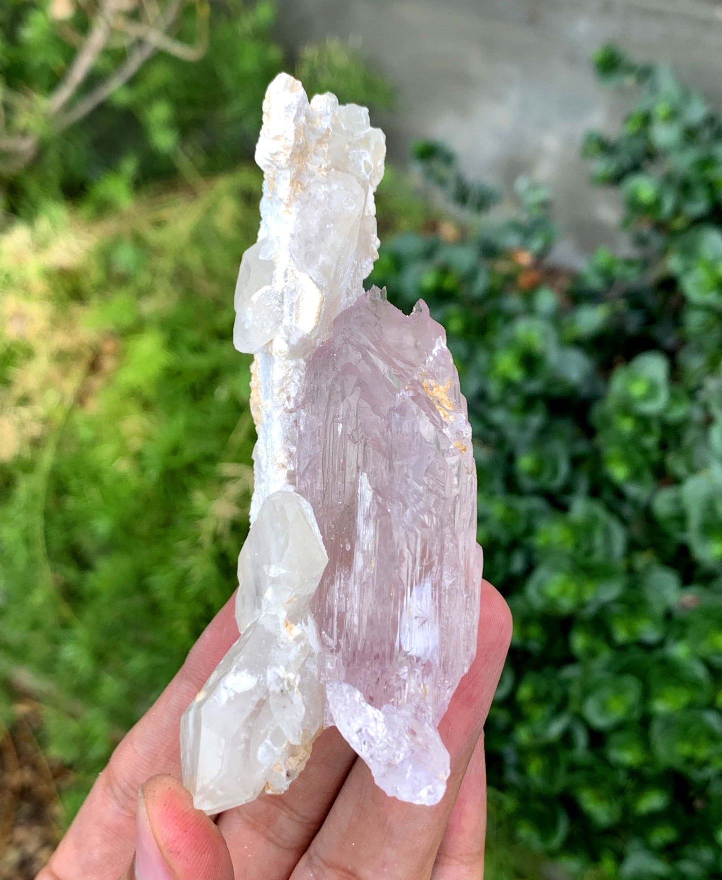 Mountain Shape Terminated Fluorescent pink Kunzite Crystal With Quartz From Afghanistan