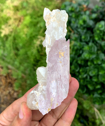 Mountain Shape Terminated Fluorescent pink Kunzite Crystal With Quartz From Afghanistan