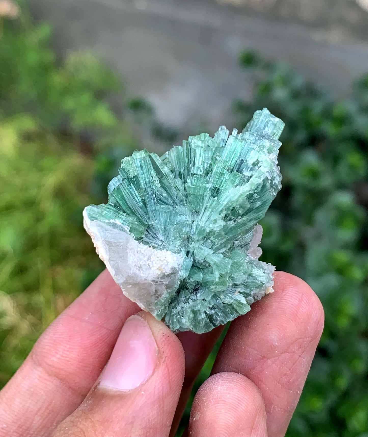 Indicolite Blue Tourmaline Bunch From Afghanistan