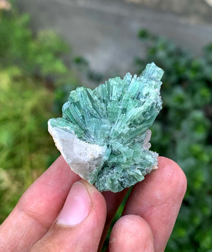 Indicolite Blue Tourmaline Bunch From Afghanistan