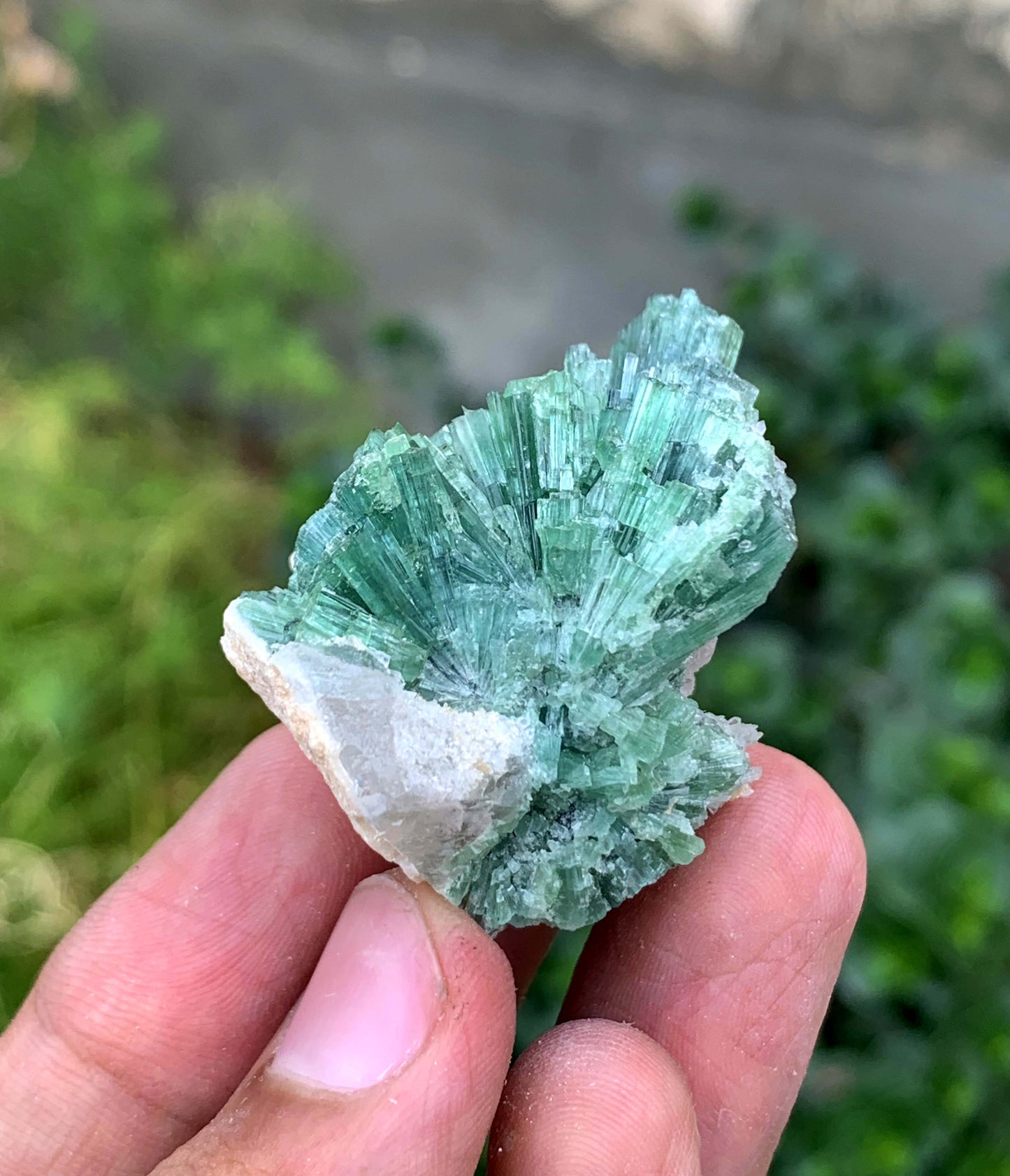 Indicolite Blue Tourmaline Bunch From Afghanistan