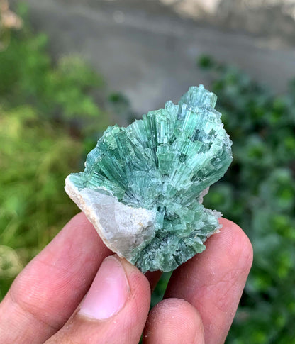 Indicolite Blue Tourmaline Bunch From Afghanistan