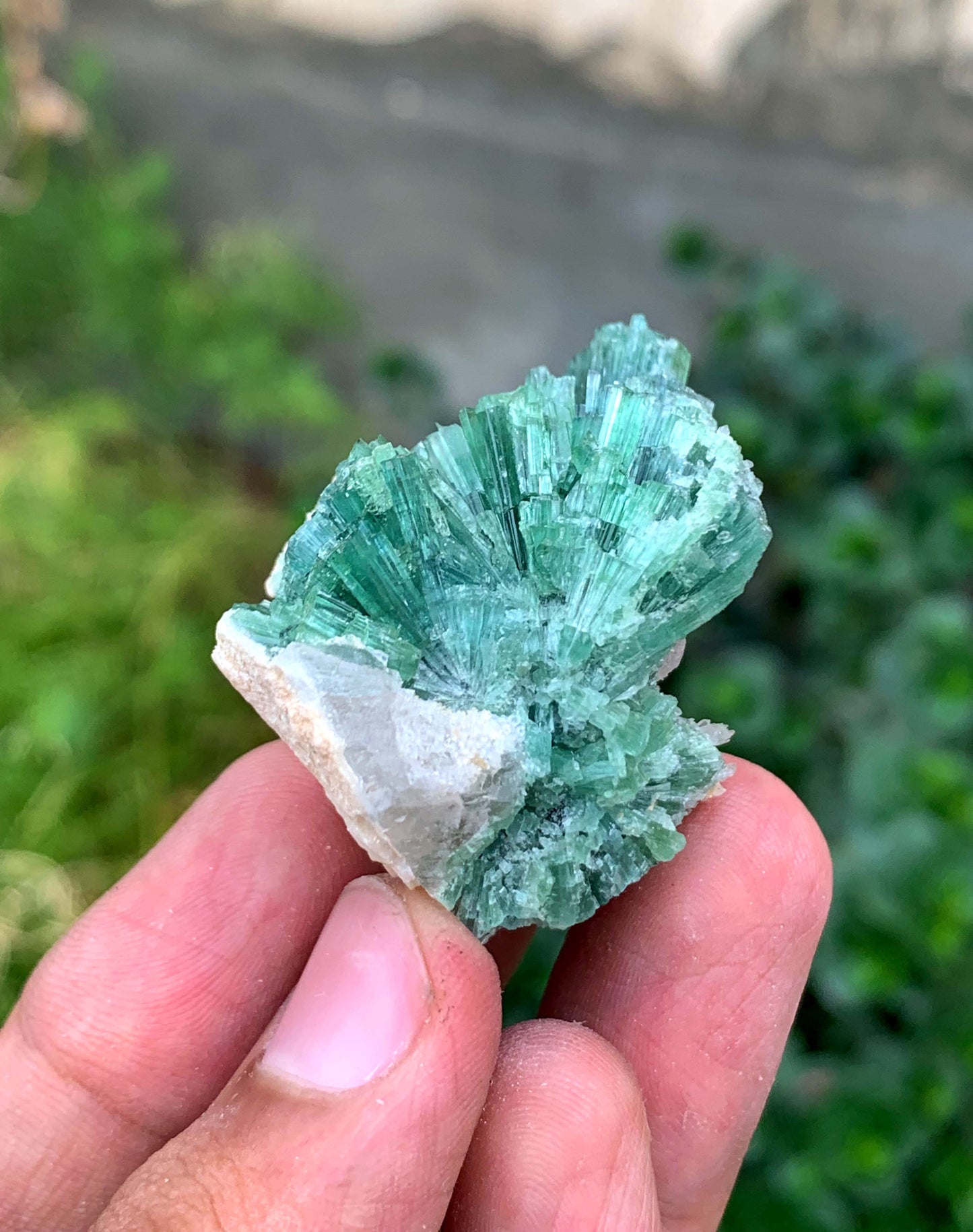 Indicolite Blue Tourmaline Bunch From Afghanistan