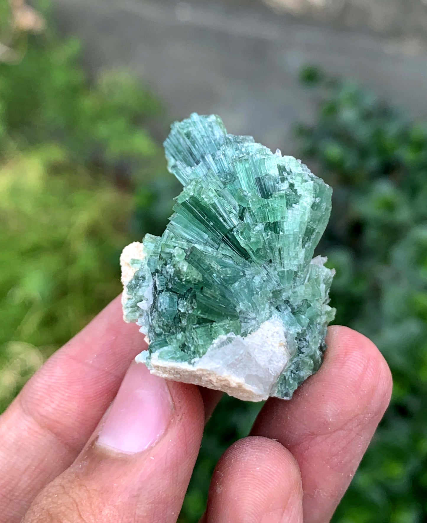 Indicolite Blue Tourmaline Bunch From Afghanistan