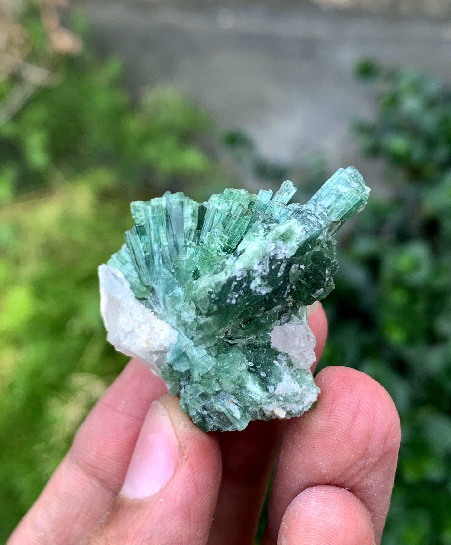 Indicolite Blue Tourmaline Bunch From Afghanistan
