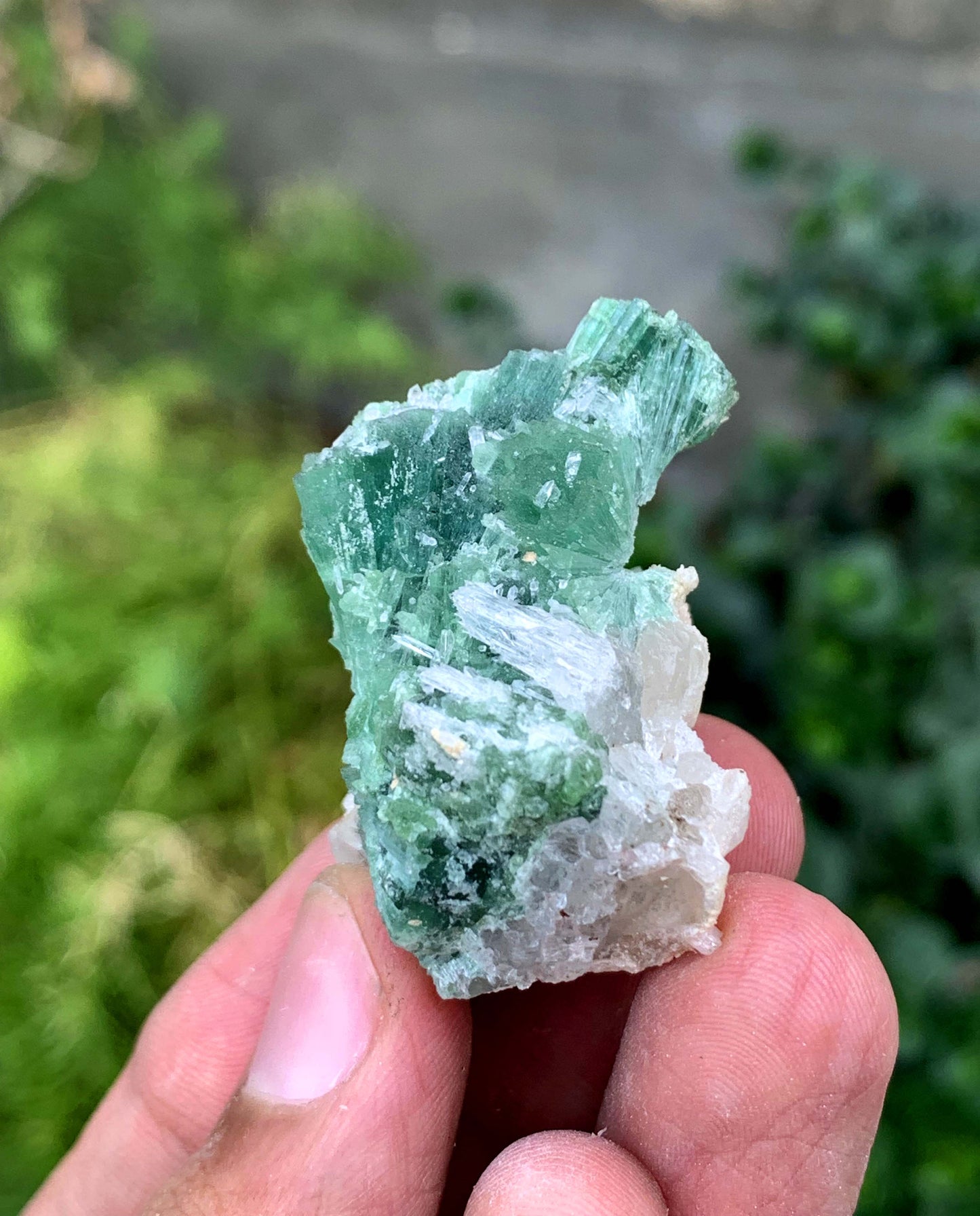 Indicolite Blue Tourmaline Bunch From Afghanistan