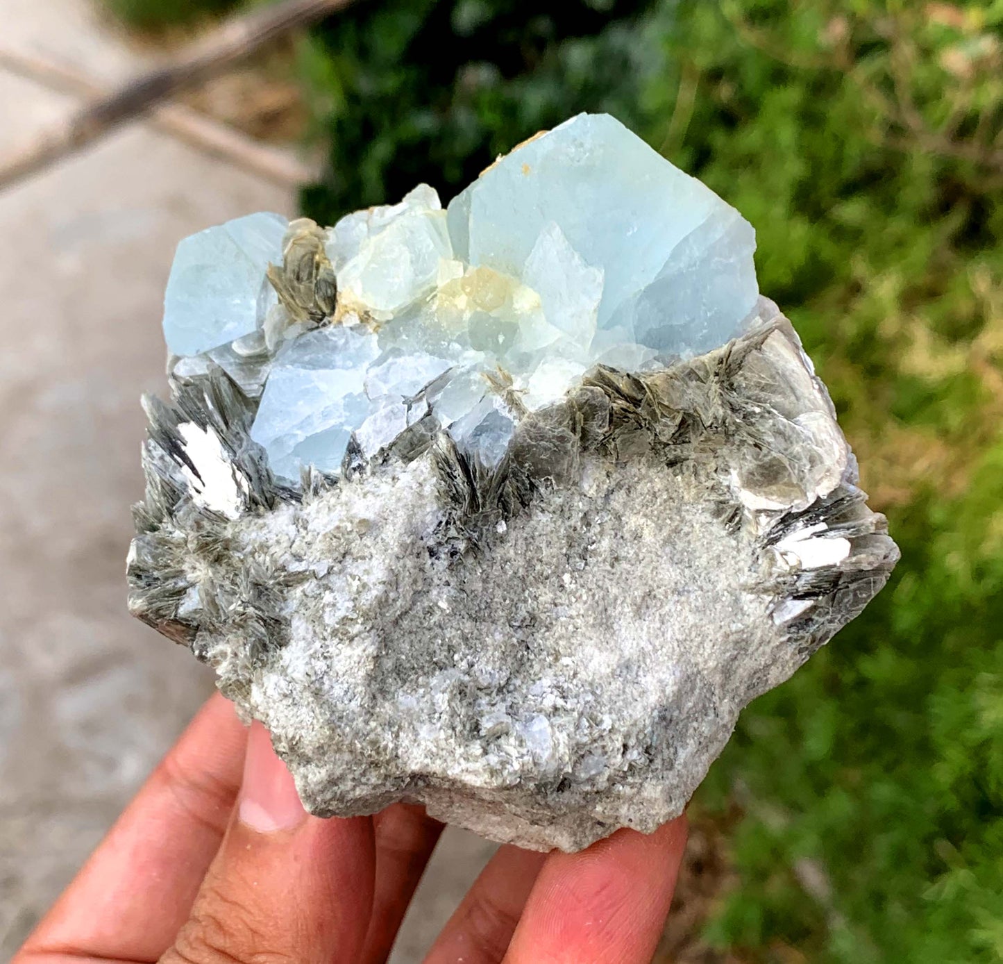 Sky Blue Aquamarine Cluster on Muscovite Matrix from Pakistan - 455 gram