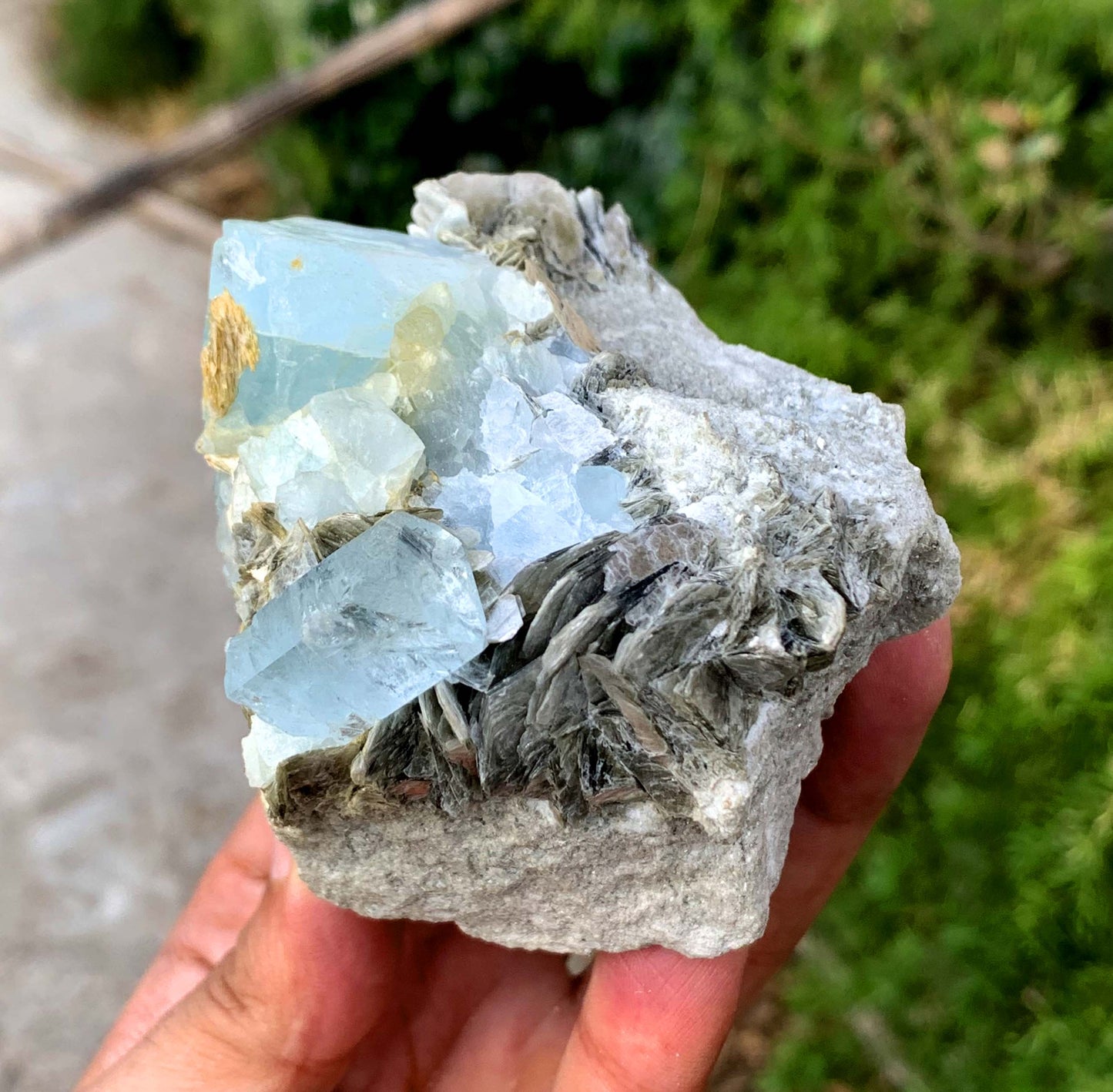 Sky Blue Aquamarine Cluster on Muscovite Matrix from Pakistan - 455 gram