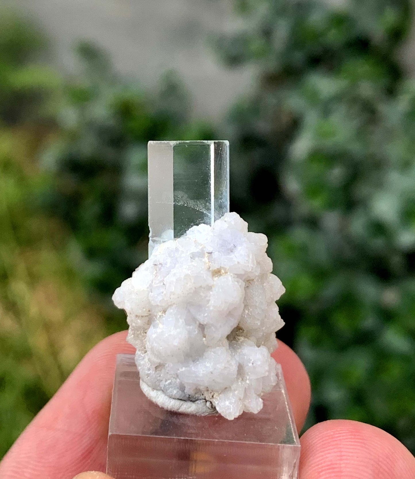 Transparent Sky Blue Aquamarine Crystal On Albite From Skardu Pakistan 35.70 Carats