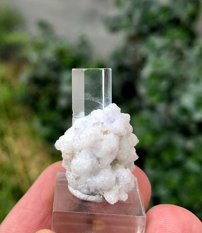 Transparent Sky Blue Aquamarine Crystal On Albite From Skardu Pakistan 35.70 Carats
