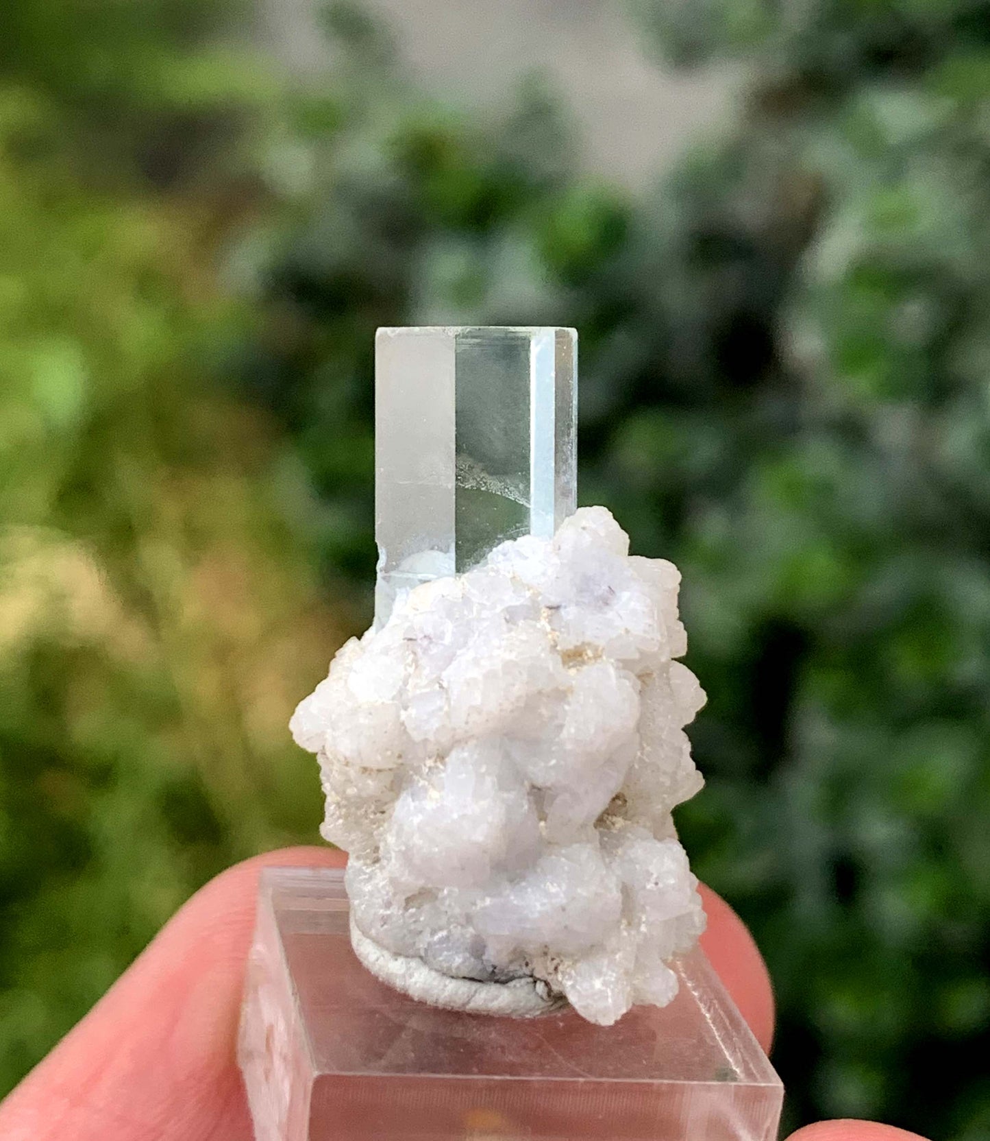 Transparent Sky Blue Aquamarine Crystal On Albite From Skardu Pakistan 35.70 Carats
