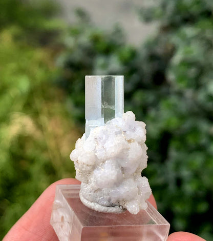 Transparent Sky Blue Aquamarine Crystal On Albite From Skardu Pakistan 35.70 Carats