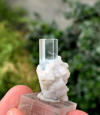 Transparent Sky Blue Aquamarine Crystal On Albite From Skardu Pakistan 35.70 Carats
