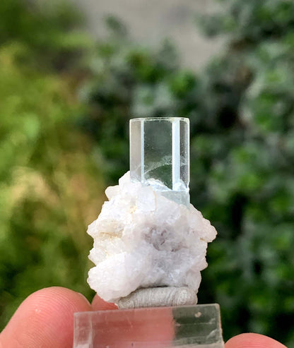 Transparent Sky Blue Aquamarine Crystal On Albite From Skardu Pakistan 35.70 Carats