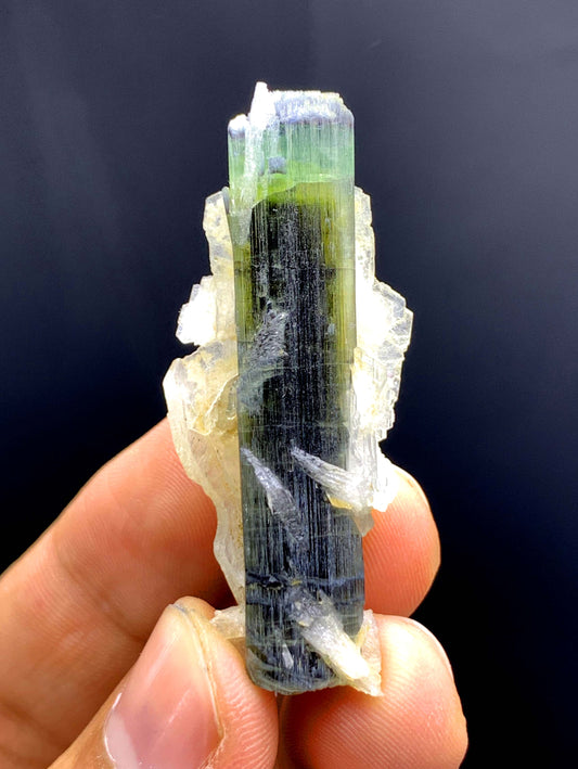Tricolor Tourmaline on Cleavelandite Albite from Astak Nala Mine Pakistan - 10 gram