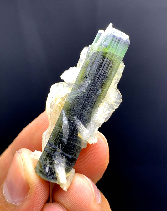 Tricolor Tourmaline on Cleavelandite Albite from Astak Nala Mine Pakistan - 10 gram