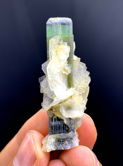 Tricolor Tourmaline on Cleavelandite Albite from Astak Nala Mine Pakistan - 10 gram