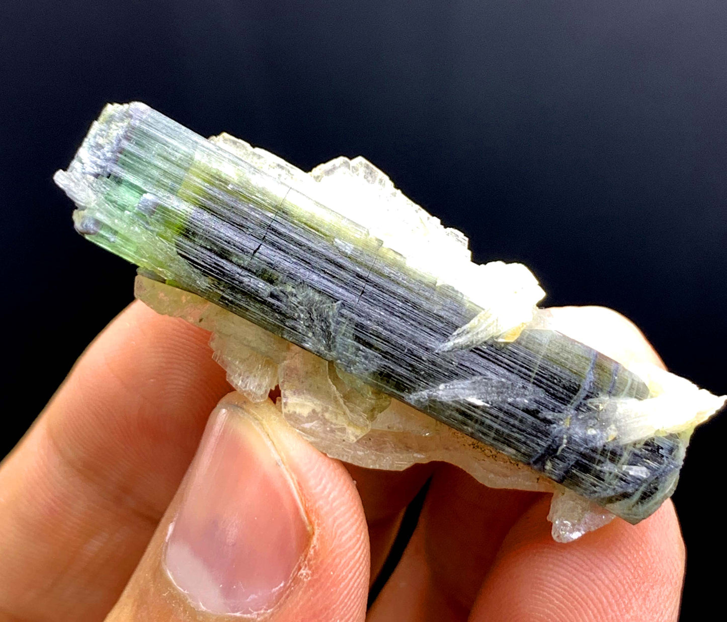 Tricolor Tourmaline on Cleavelandite Albite from Astak Nala Mine Pakistan - 10 gram