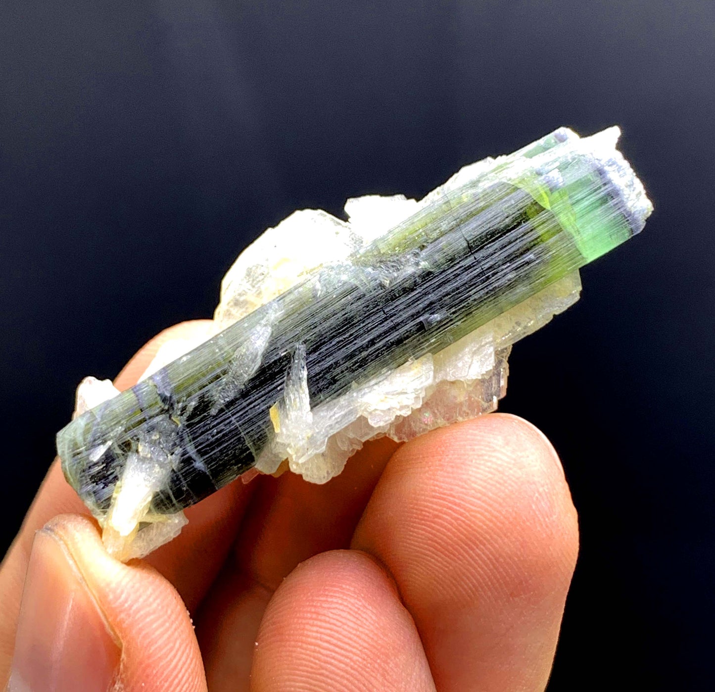 Tricolor Tourmaline on Cleavelandite Albite from Astak Nala Mine Pakistan - 10 gram