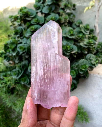 Terminated Pink Kunzite Crystal From Afghanistan - 197 Gram