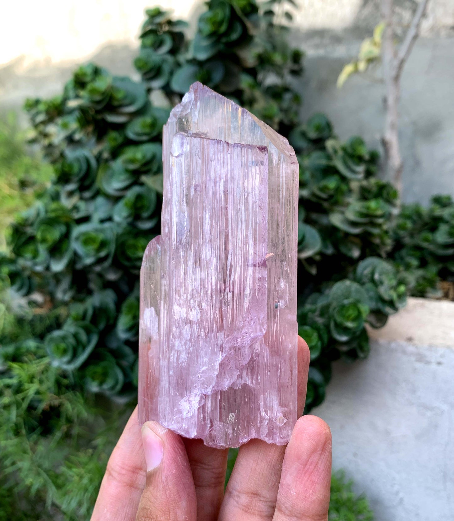 Terminated Pink Kunzite Crystal From Afghanistan - 197 Gram