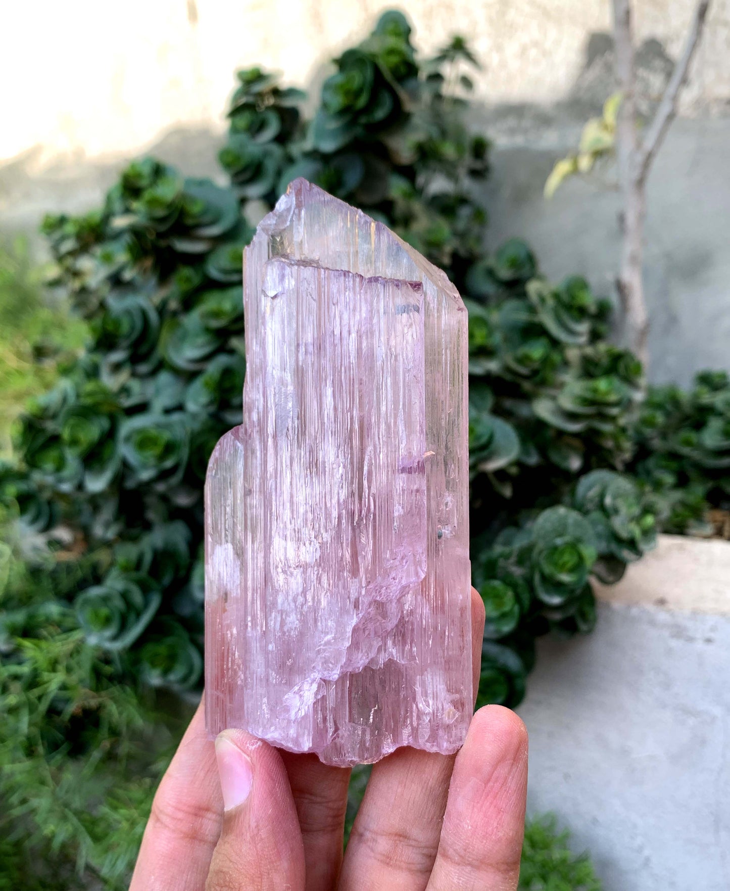 Terminated Pink Kunzite Crystal From Afghanistan - 197 Gram