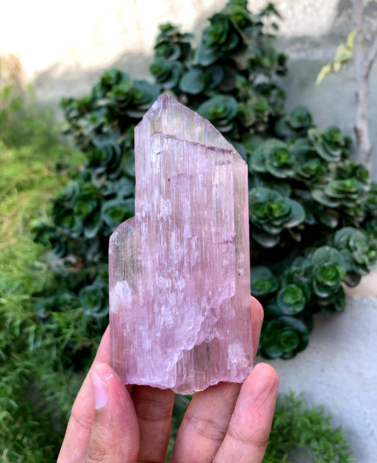 Terminated Pink Kunzite Crystal From Afghanistan - 197 Gram